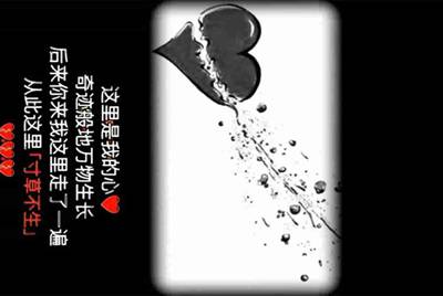 租号玩怎么找回支付密码？