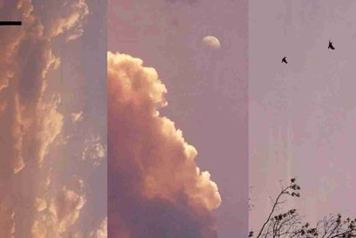 生死狙击租号（加407592855）本人只有星期五下午到星期六一天在线（其余时间不在线 ）