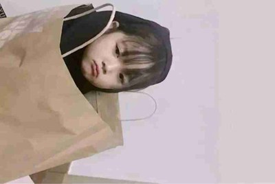 什么什么什么风，一个成语，