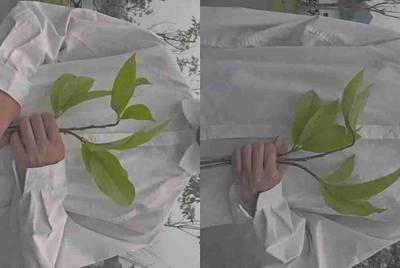 LOL租号玩租给别人排位，如果连胜MVP会封号吗？