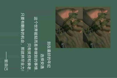 哪个租号平台，最好？