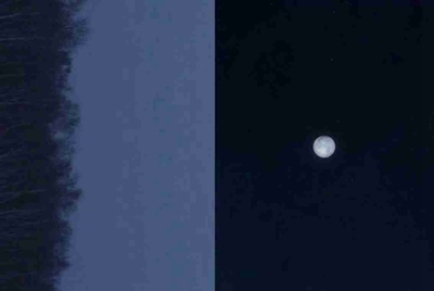 租号玩发布了一个账号审核不通过，怎么能删除？？
