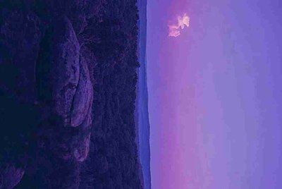 大连地铁2号线是否通到星海广场?