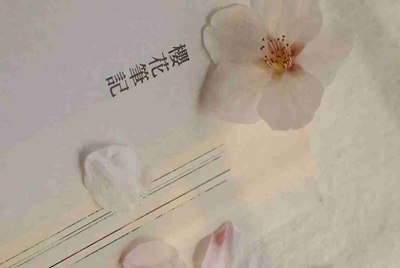 在租号玩上面出租账号系统收不收费