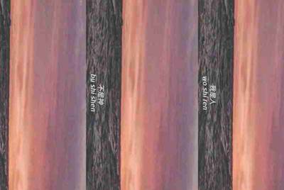 租号玩在网吧打开登陆蓝屏，怎么解决