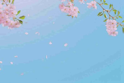 绝地求生辅助怎么过租号玩检测