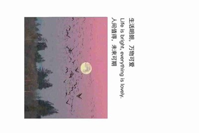 我在交易猫租号没收到租金