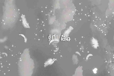 影子系统无法实现完全影子保护系统,怎么解决？