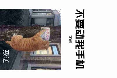 租号玩上号流程是什么样？怎么操作？