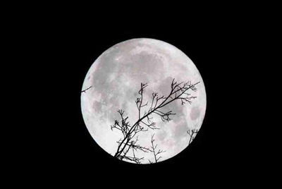 我在租号玩租了个绝地求生登上去steam但是上不去游戏是为什么?