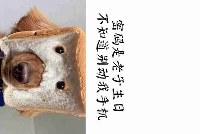 有没有查找电脑之前键盘记录的软件