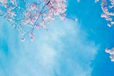 土豪玩家1小时连砸130万元买装备是什么游戏