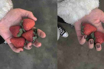 租号玩发布了一个账号审核不通过，怎么能删除？？