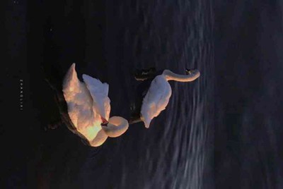 绝地求生辅助怎么过租号玩检测
