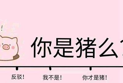 电脑租号玩下载了安装不了