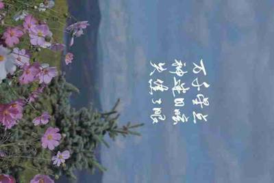 租号玩快速上号怎么操作，一直失败？