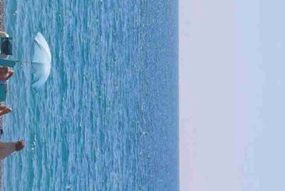 我从好友借号他说安全中心是什么意思