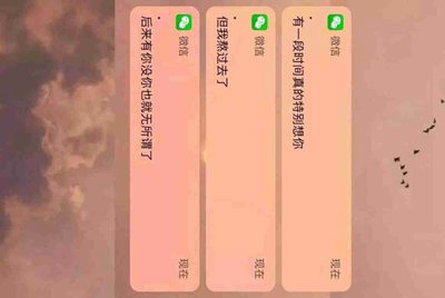 租号玩忘记用户名咋办