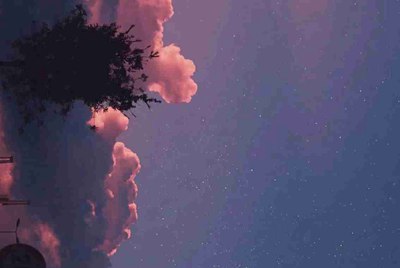 假如别人向我借号，我应该怎样拒绝别人？