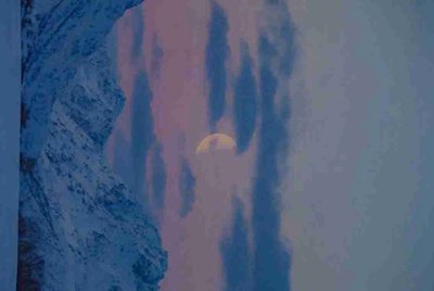 梦幻西游手游怎么用账号密码登录？
