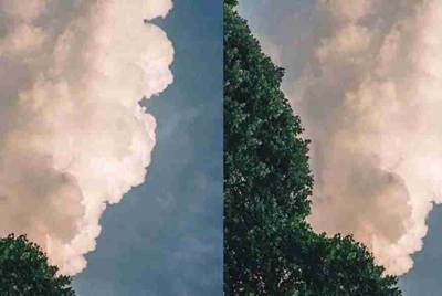 朋友要借我游戏号玩我不好意思拒绝他,可是我又怕掉号你说我该怎么办啊