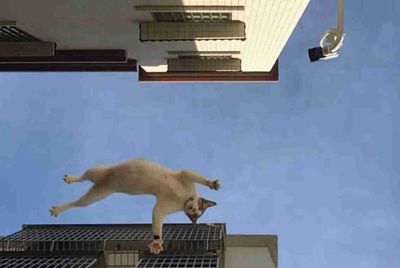 手游侠盗猎车罪恶都市去送一个人干嘛
