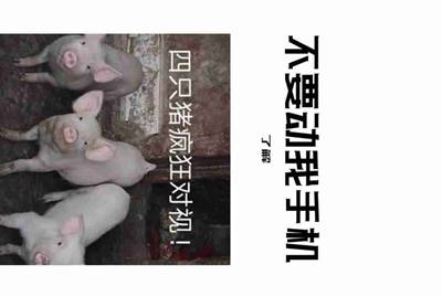 租号玩租用了一个游戏账号，怎么找它的订单号啊