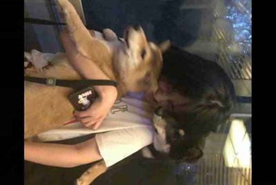 租号玩为什么进不去？