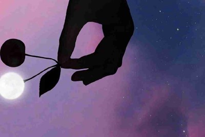 淘宝网上的steam租号是怎么回事，永久的吗