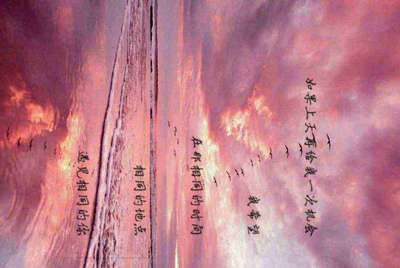 现在租号平台/软件哪个用的人多？