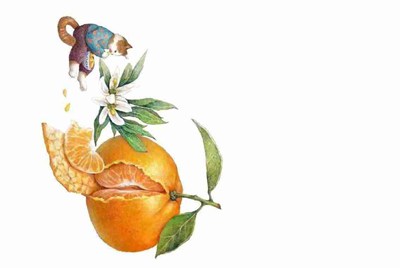 ，最新龙斗士bug:官网邀请码（每过3个月官网重新设置邀请码，为了防止刷邀请码），好不容易搞到的