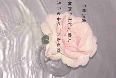 租号玩怎么修改用记名的登录密码？？