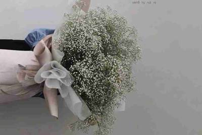 用手机号码注册的新浪邮箱、博客、微博，不想要了该怎么办？