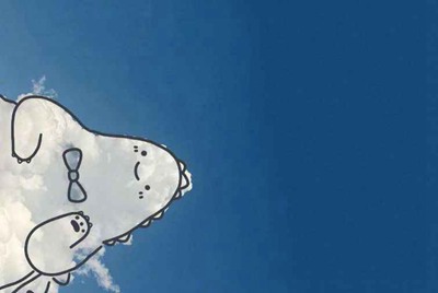 乐游租号是骗子！给你登录，但是密码不对，然后钱全扣给了卖家，完了还全网拉黑了我，怎么投诉这种平台？