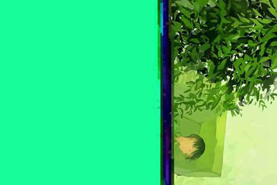 求LOL美pbe测试服账号