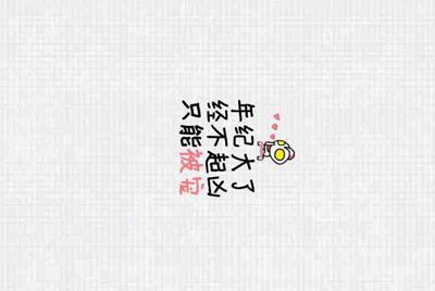车牌照是什么意思啊