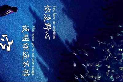 怎么查看对方旺旺号