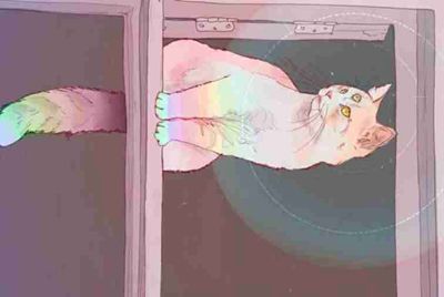 甘肃星梦文化影视传媒有限公司怎么样？