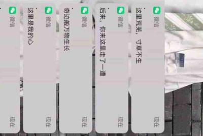 现在租号平台/软件哪个用的人多？