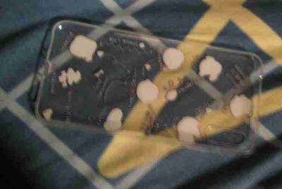 用U号租软件贼卡 有啥办法能不卡阿