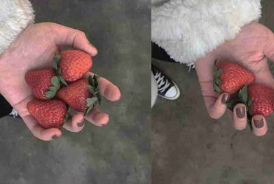 朋友想借我的摩豆派会员卡，怎么拒绝他？