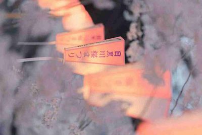 在租号玩上面租的大逃杀，为什么玩不了？
