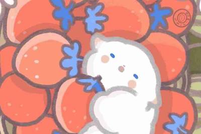 想买个问道手游账号 什么平台比较靠谱
