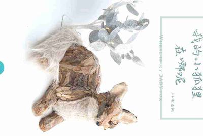 乐游租号是骗子！给你登录，但是密码不对，然后钱全扣给了卖家，完了还全网拉黑了我，怎么投诉这种平台？