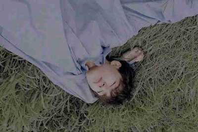 求一个创世兵魂辅助。要新版免费的