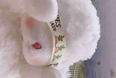 租号玩的手机号可以改么