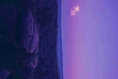 梦幻西游手游账号提供身份证安全吗