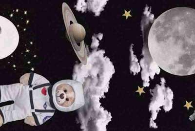 梦幻西游那些在淘宝上租号的人是骗子吗？