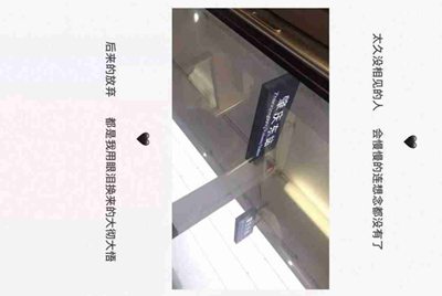 在租号玩买的号 玩了十几天.卖家要申诉回去.怎么办