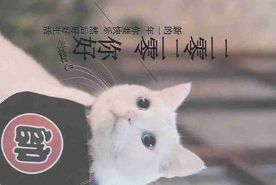 借steam号，玩玩只是，玩里面游戏